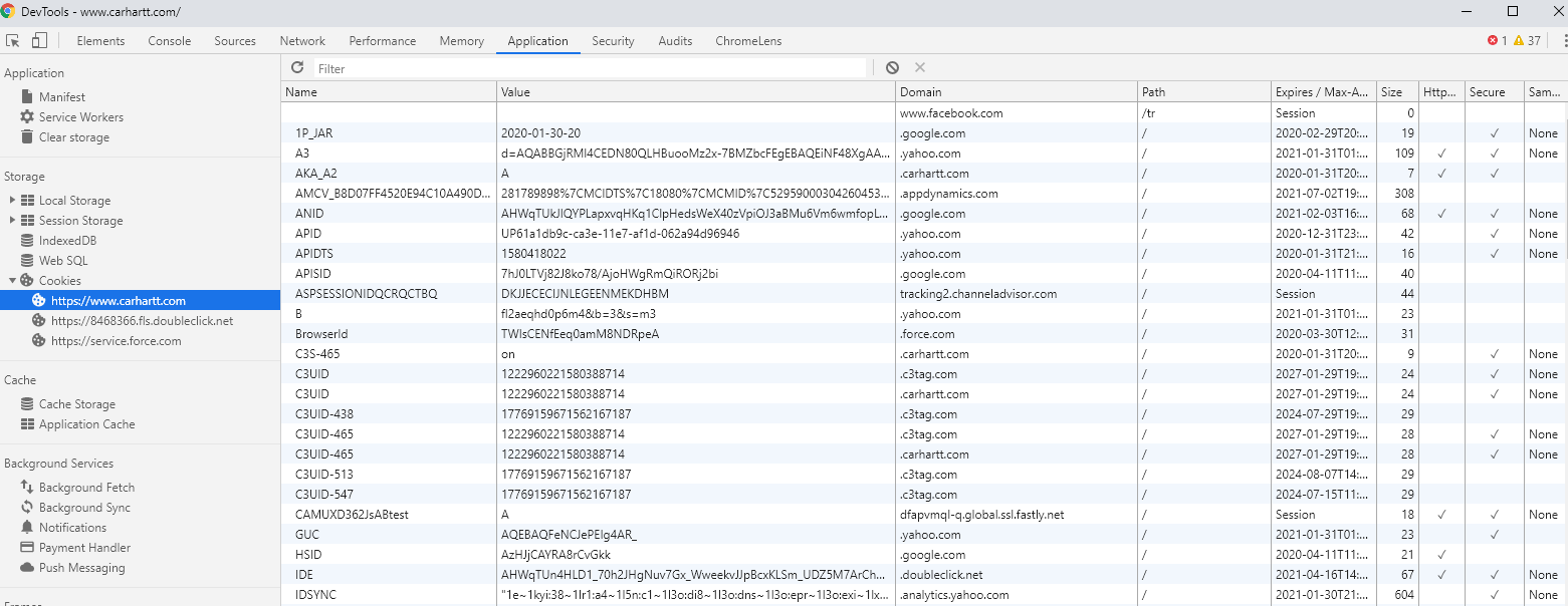 Devtools cookies